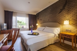 HOTEL FÉNIX 4*