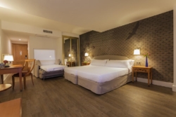 HOTEL FÉNIX 4*