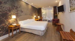 HOTEL FÉNIX 4*